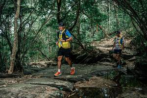 BIB: 
                            <button type="button" onclick="openModal(25865894)" class="btn btn-primary btn-sm float-right btn-popup" data-toggle="modal" data-target=".modal-high-quality">
                        <i class="fas fa-shopping-cart"></i> Add to Cart
                    </button>
                                            <button type="button" onclick="isThisMe(25865894, true)" class="btn btn-success btn-sm float-right btn-popup btn-isme hidden" data-toggle="tooltip" data-placement="bottom" title="นี่คือรูปของคุณใช่ไหม คลิกที่นี่เพื่อเอาเข้าอัลบั้ม">
                        <i class="fas fa-plus"></i> Add to album
                    </button>
                    <button type="button" onclick="isThisMe(25865894, false)" class="btn btn-warning btn-sm float-right btn-popup btn-isnotme hidden">
                        <i class="fas fa-ban"></i> Remove from album
                    </button>